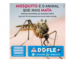 Dedetizadora de mosquitos em Belo Horizonte