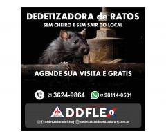 Desratização: Ratos e Ratazanas - RIO(Zona Norte)