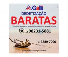 dedetizadoragalli@gmail.com