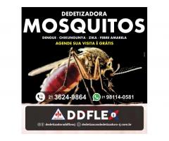 Dedetizadora de Mosquitos - Nova Friburgo