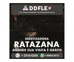 Dedetizadora de Ratos DDFlex - Pampulha/BH