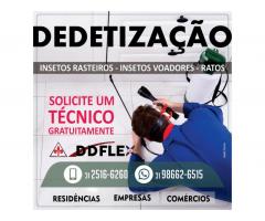 Dedetização Flex combate de insetos, ratos em Belo Horizonte