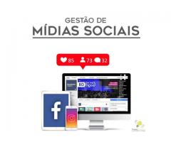 Gestão de mídias sociais, gerenciamento de mídia.