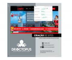Otimização de site SP | Dr Octopus desde 2008