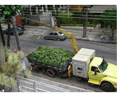 Caminhão Munck Em Barueri – 11-9-4774-8786 Thais