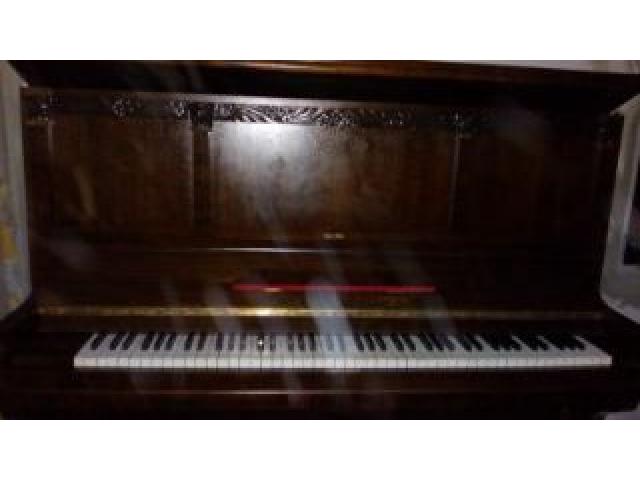 Afinador de piano órgão eletrônico e acordeão