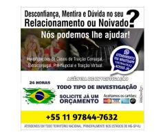 Detetive Particular whats (11)978447632
